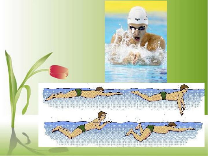 游泳类运动的特点与价值 课件（24张ppt）