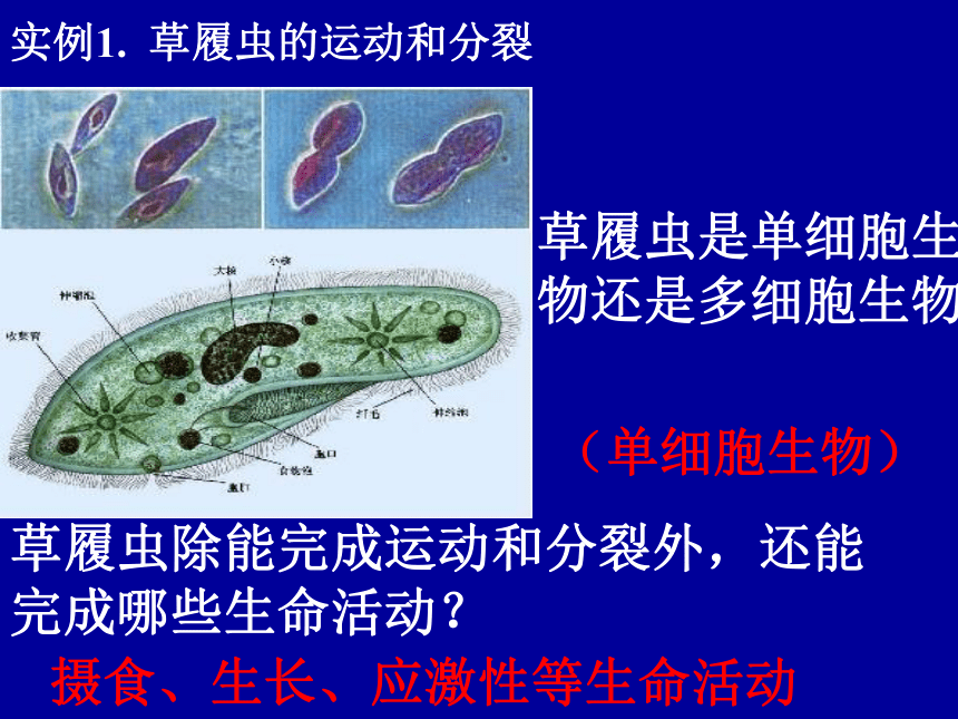 人教版必修1第一章第一节从生物圈到细胞（共29张PPT）