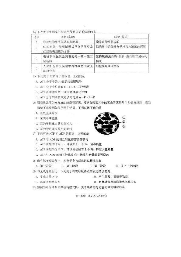 天津市滨海新区2018-2019学年高一上学期期末检测生物试卷（扫描版）