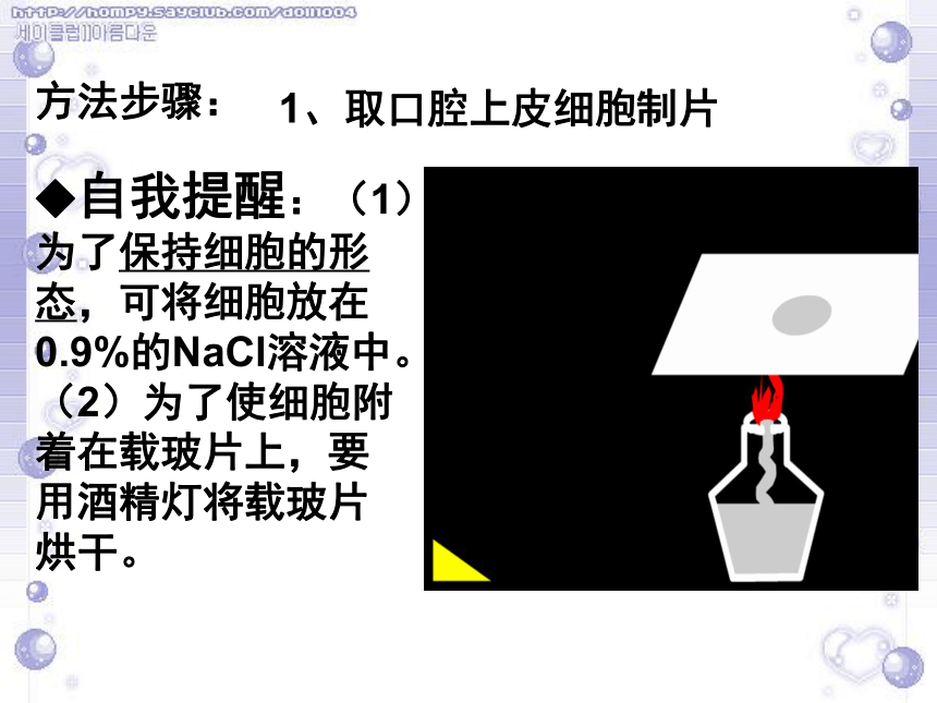 人教版高中生物必修一第二章第三节遗传信息的携带者--核酸