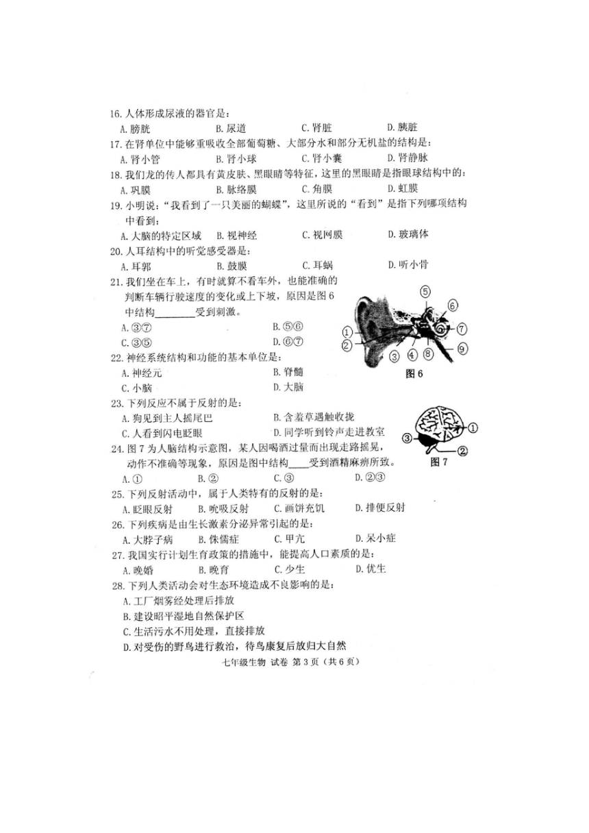广西贺州市昭平县2017-2018学年下学期七年级期末考试生物试卷（扫描版，含答案）
