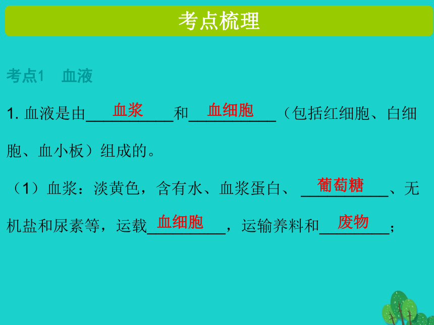 2017年中考生物复习--人体内物质的运输 课件（36张）