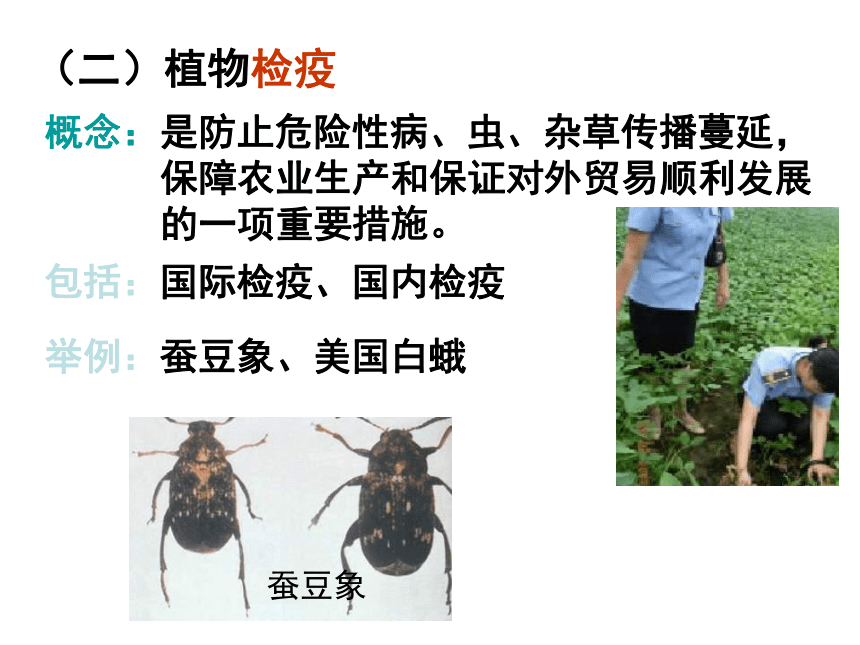 浙科版生物选修2第二节 《植物病虫害和动物疾病的防治》课件