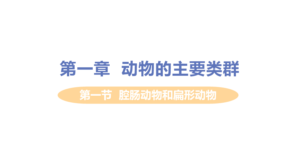 人教版生物八年级上册5.1.1腔肠动物和扁形动物课件（28张PPT)