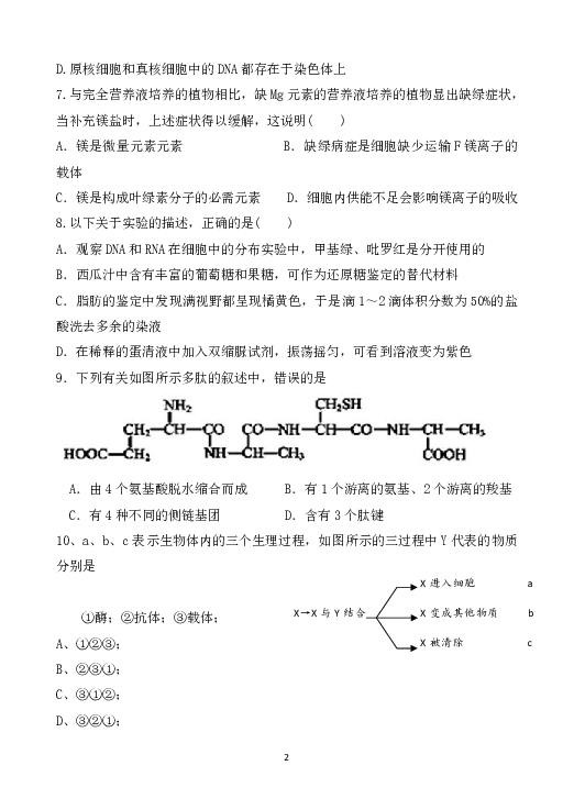 宁夏青铜峡市高级中学2019-2020学年高二上学期期中考试生物试题