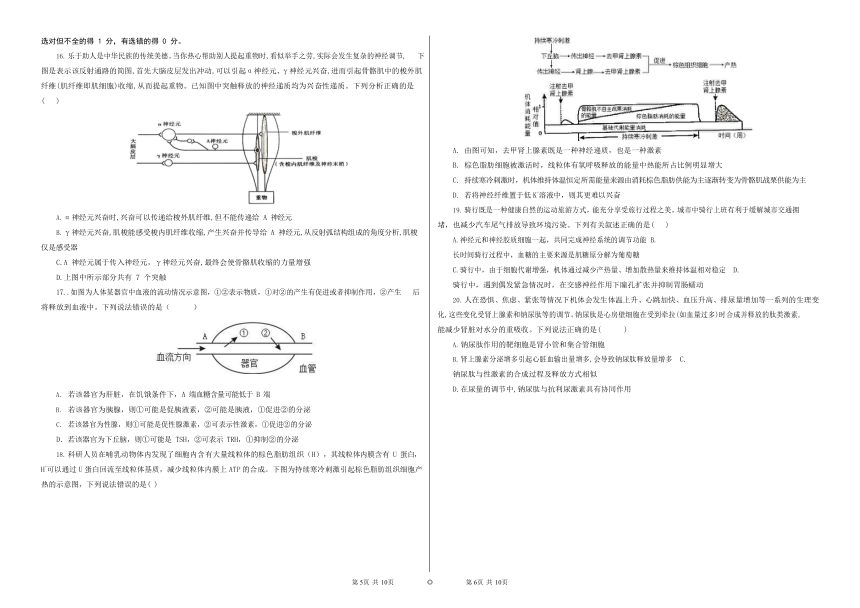 山东省“山东学情”2021-2022学年高二上学期10月联考生物试题（A）（Word版含答案）