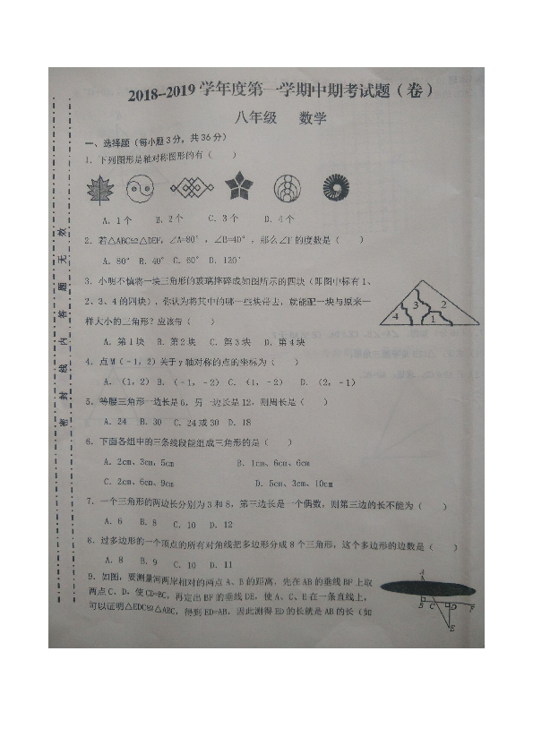 甘肃省庆阳市镇原县2018-2019学年第一学期八年级数学上册期中试卷（图片版 含答案）