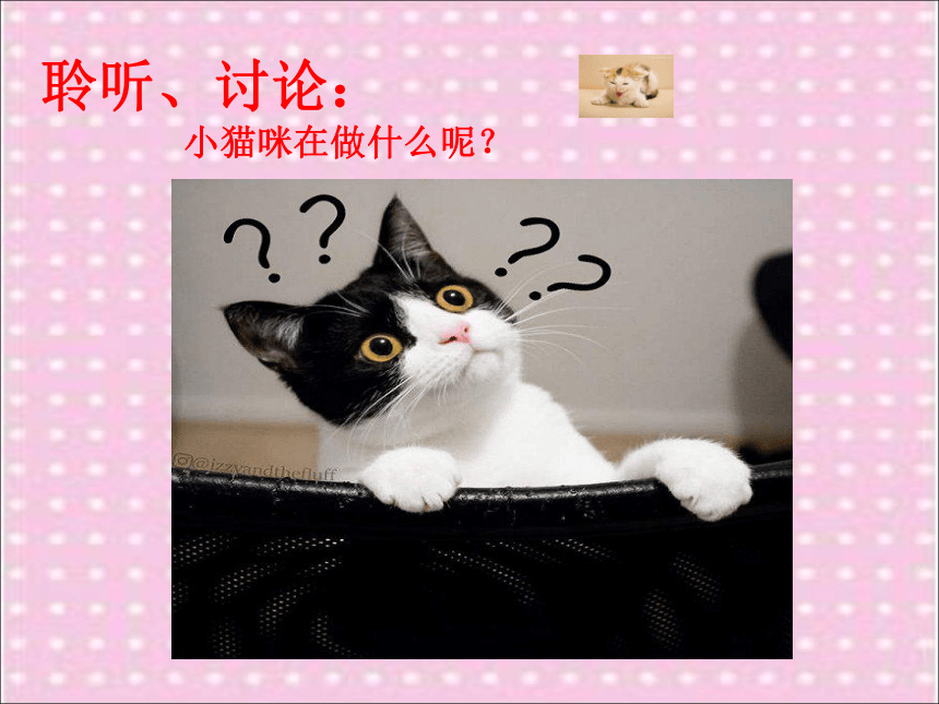 湘艺版 二年级下册音乐 3.4 跳圆舞曲的小猫 课件（ 22张PPT）