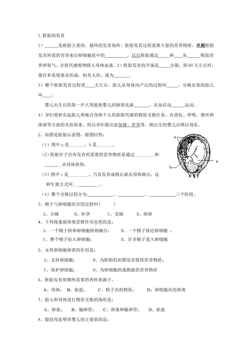 新生命的诞生（2）