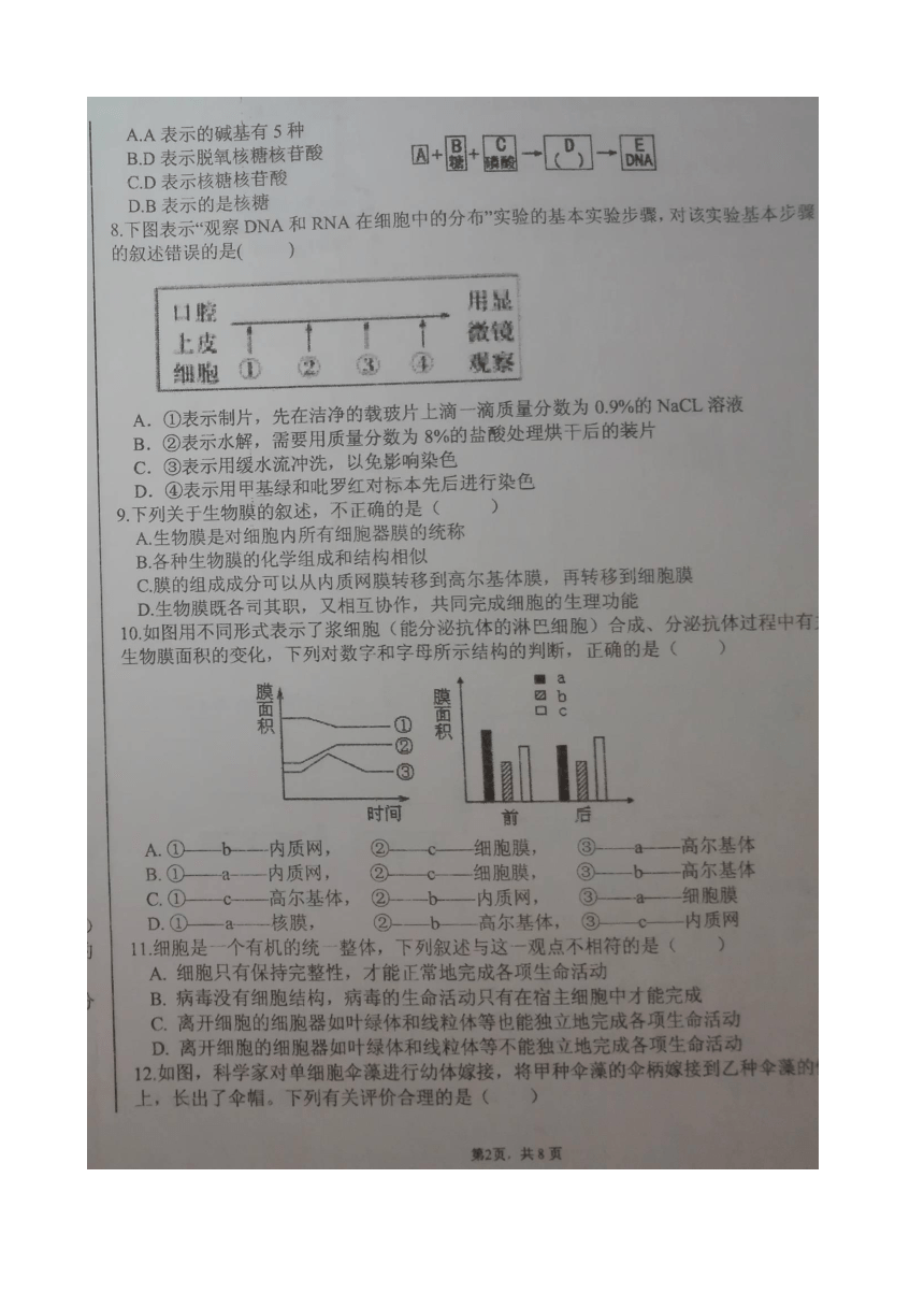 陕西省铜川市王益区2017-2018学年高一上学期期末考试生物试题 扫描版含答案