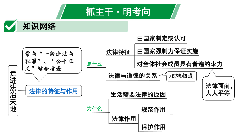 法治天地图片