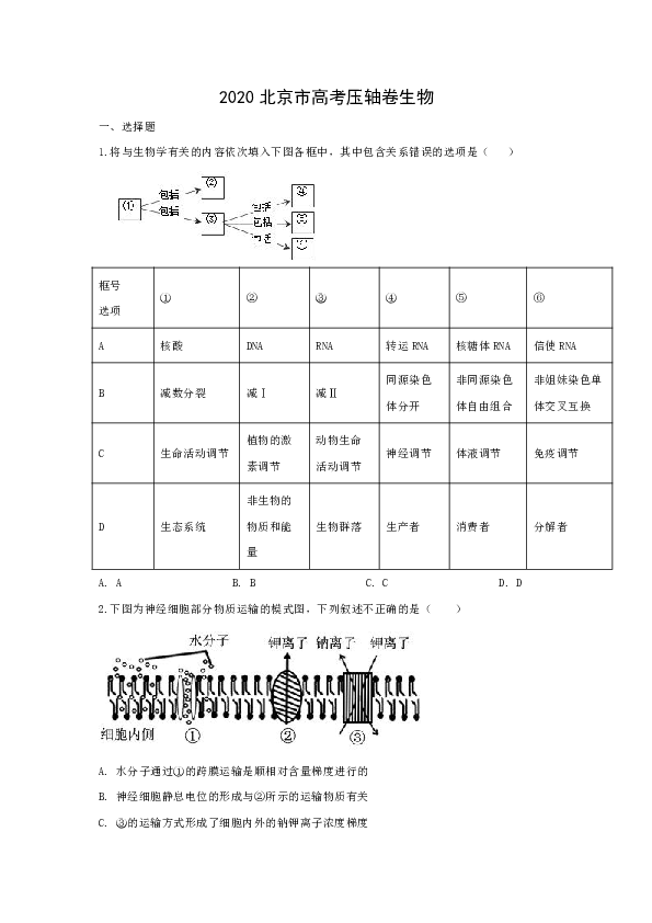 北京市2020届高三高考压轴卷生物试题 （含解析）