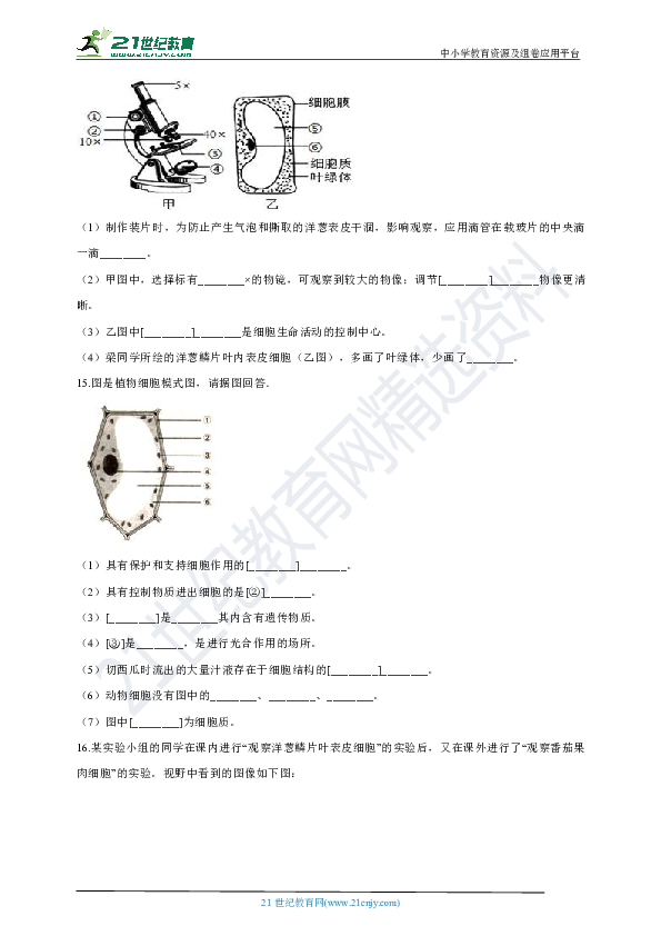 2.1.2植物细胞 同步训练（含解析）