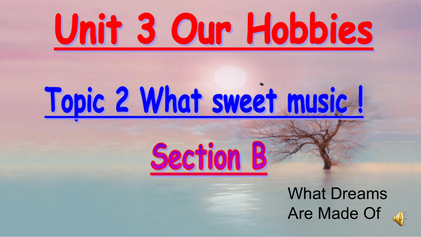 仁爱版英语八年级上Unit 3 Our Hobbies Topic 2 What sweet music! Section B课件（共14张ppt）