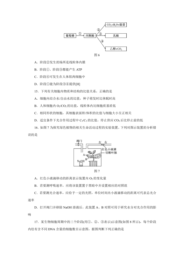 云南省大理州祥云县2019-2020学年高二下学期期末统测生物试题       含答案