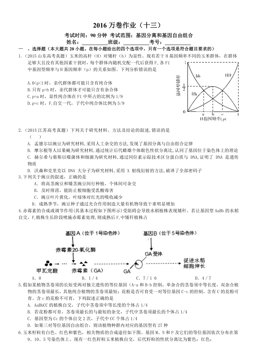 （衡水万卷）2016届高三生物二轮复习高考作业卷（含答案解析）作业（十三） 基因分离和自由组合一