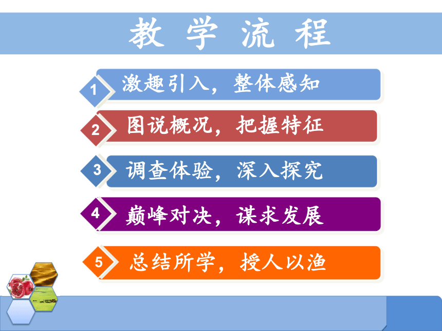 第八章 西北地区 第一节 自然特征与农业 课件