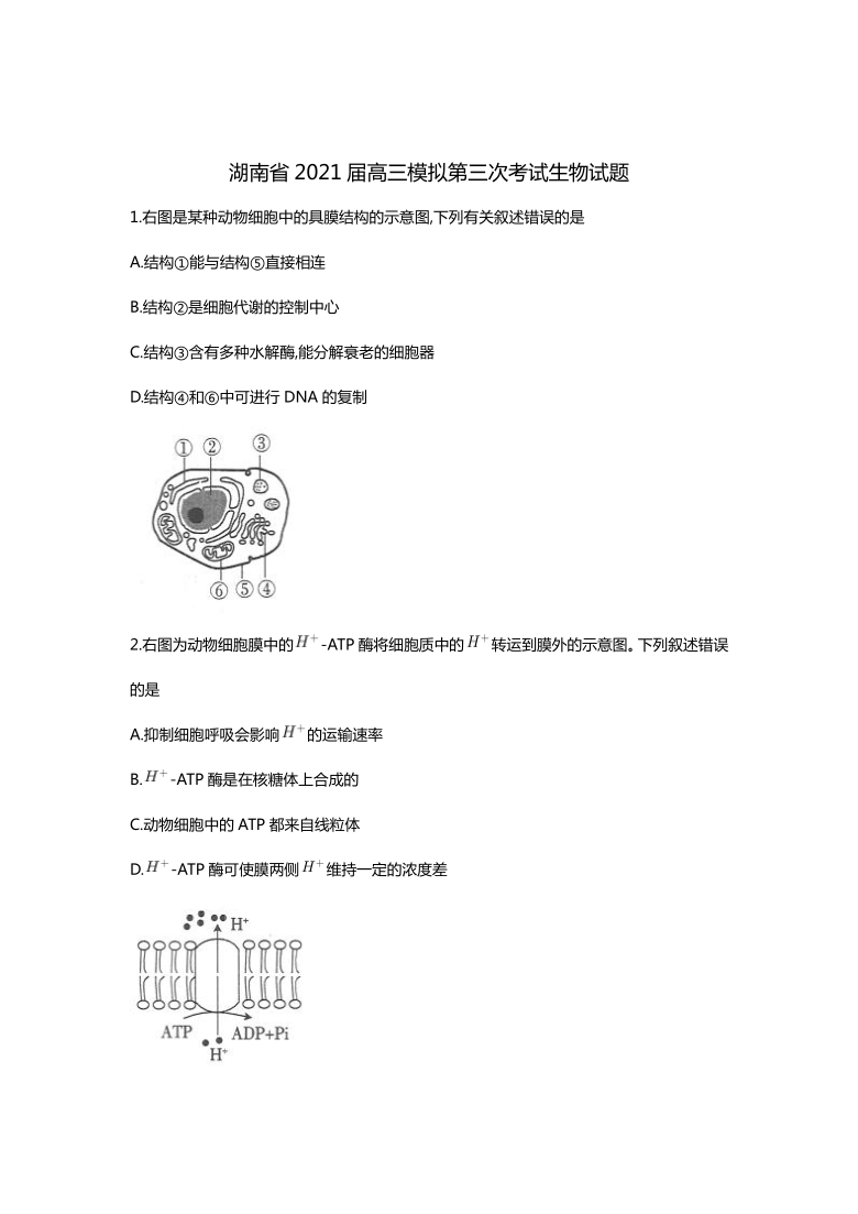 湖南省2021届高三下学期4月第三次模拟考试生物试题 Word版含答案