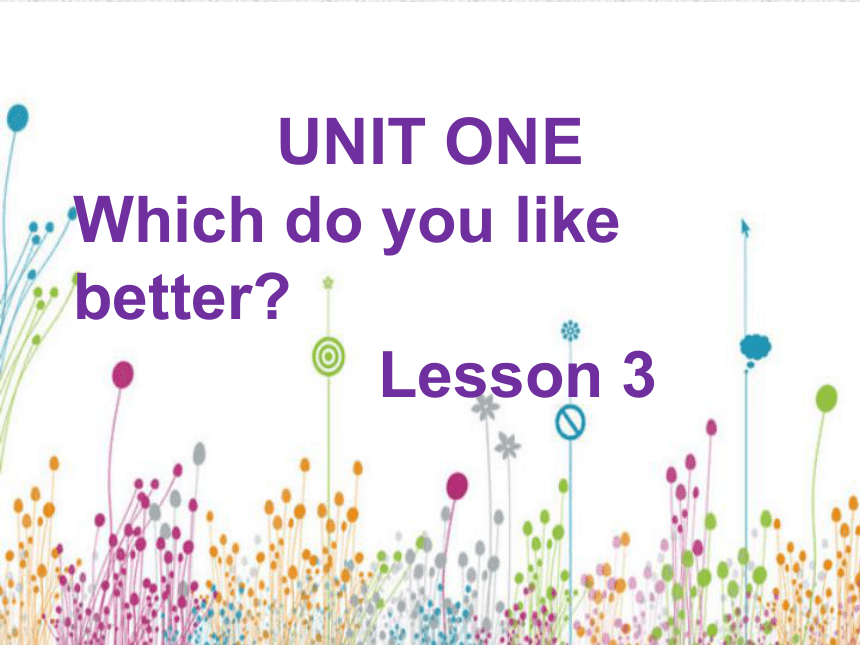 Unit 1 Which do you like better? Lesson 3 课件