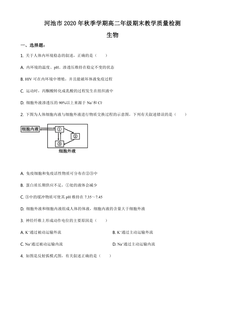 广西河池市2020-2021学年高二上学期期末教学质量检测生物试题     含答案