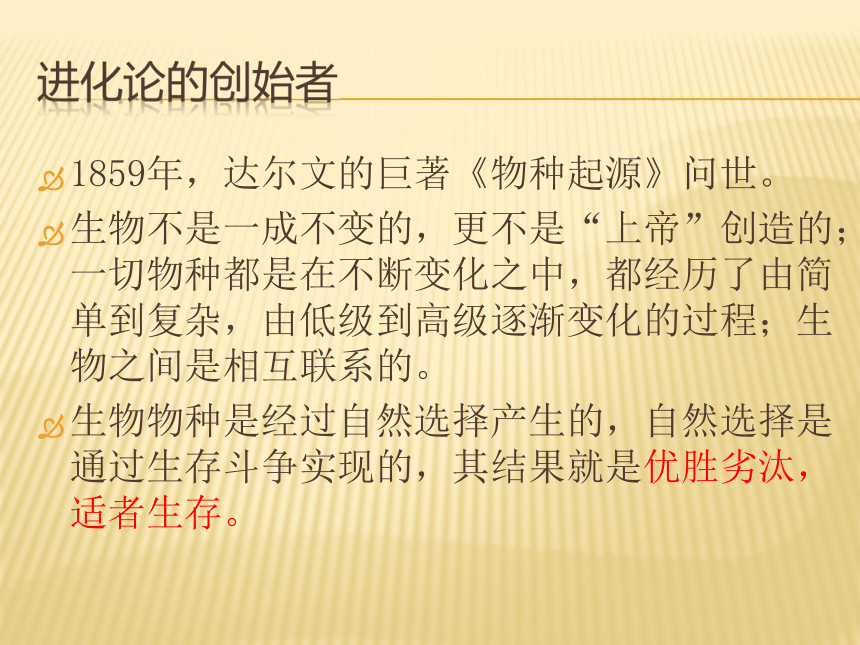 6丰富的思想宝库课件