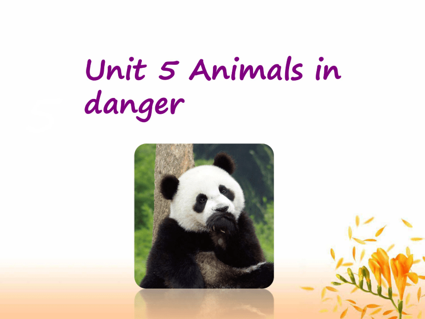 Unit 5 Animals in danger 课件