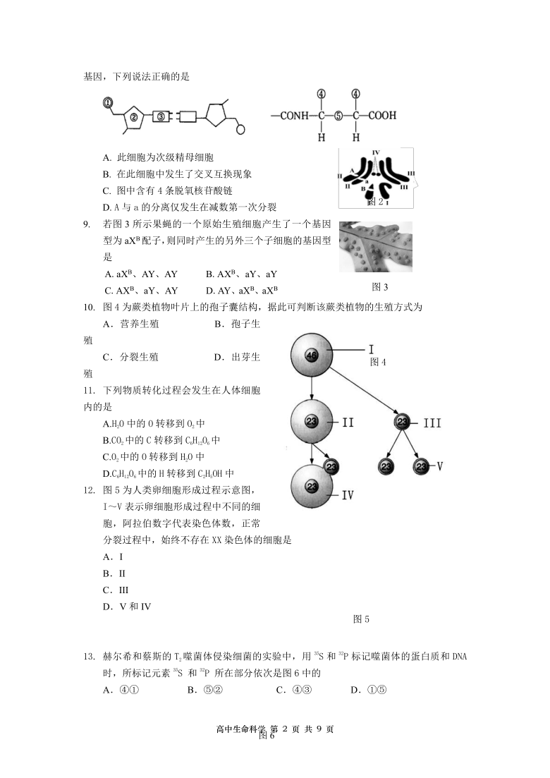 上海市金山区2021届高三上学期期末质量监控（一模）（12月）生物试题         PDF版含答案