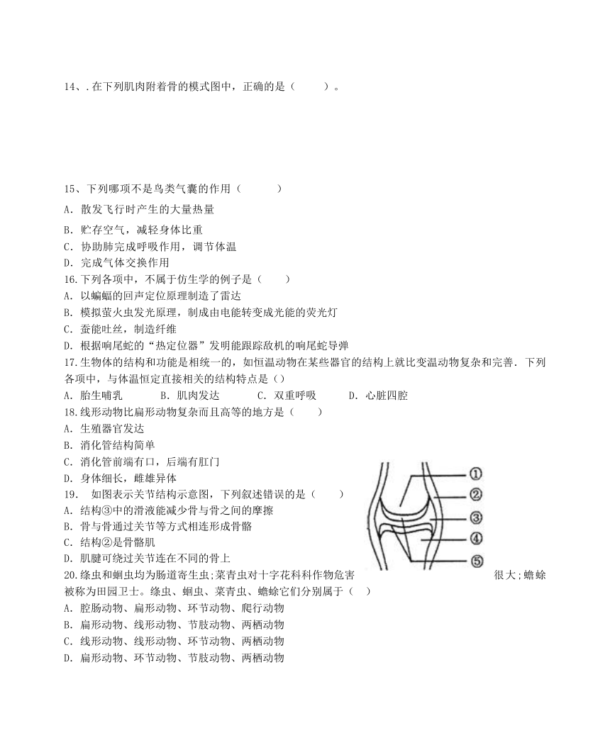山东省烟台市龙口市东海开发区2017_2018学年八年级生物上学期期中试题（五四学制）