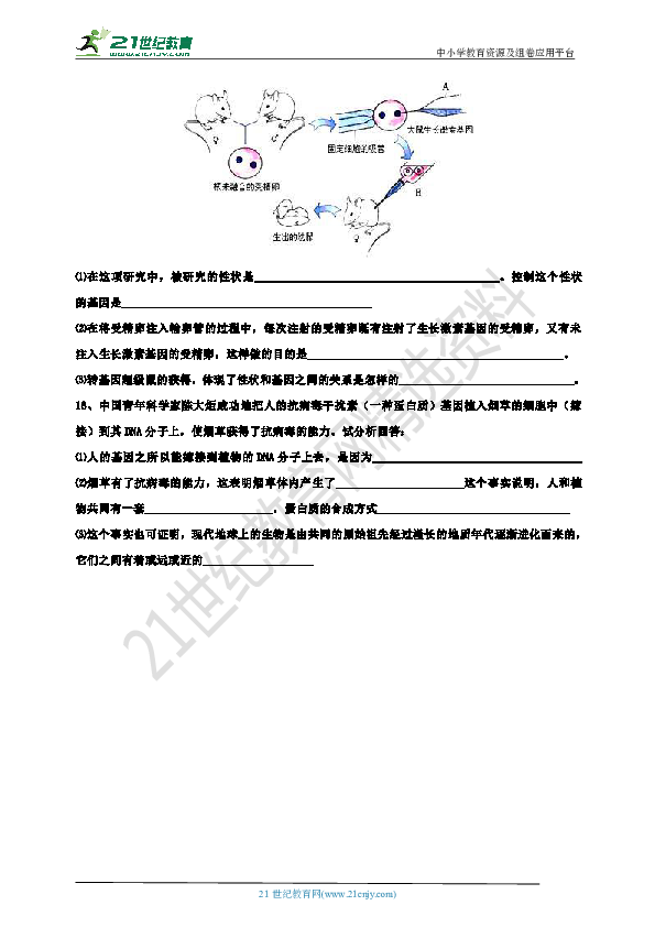【精讲精练】7.2.1基因控制生物的性（基础+提升）