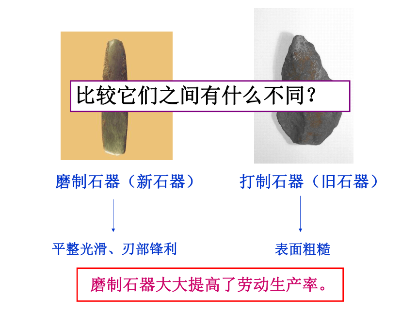 原始农业和先民的家园