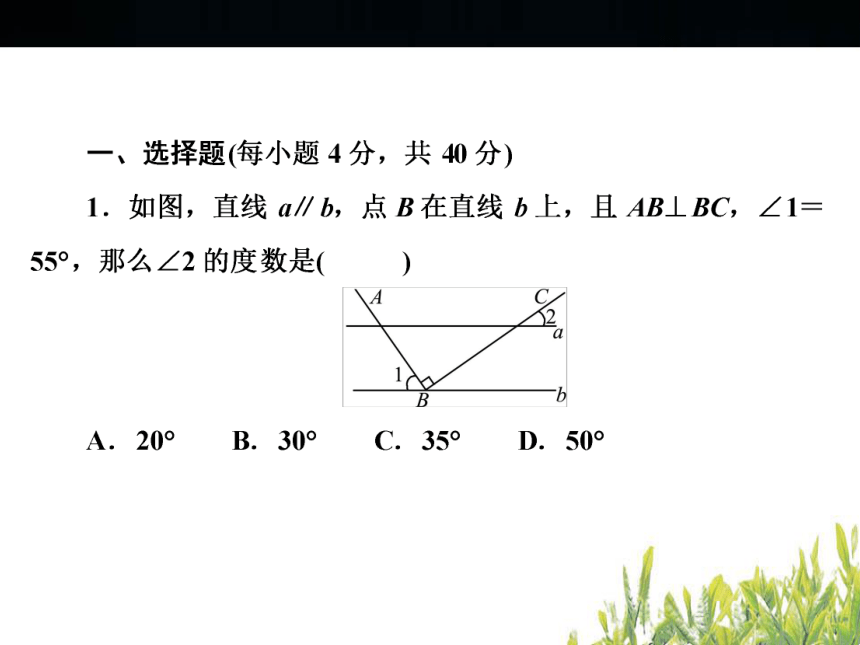 2018年浙江中考数学复习图形的认识与三角形 小自测（46张PPT）