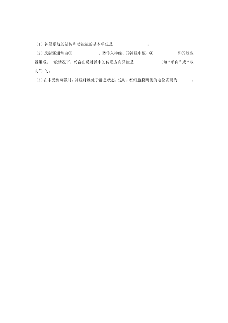 福建省莆田市第七高级中学校2020-2021学年高二下学期期中考试生物试题（II）   含答案