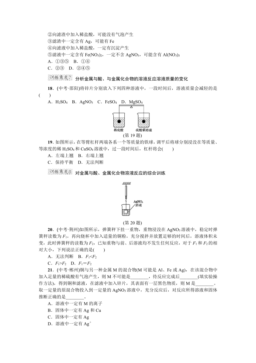 第六章 金属 专项训练（含答案）