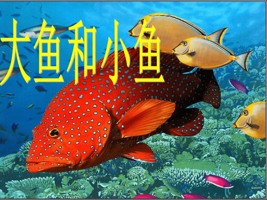 美术一年级下岭南版2.7大鱼和小鱼课件 (28张)