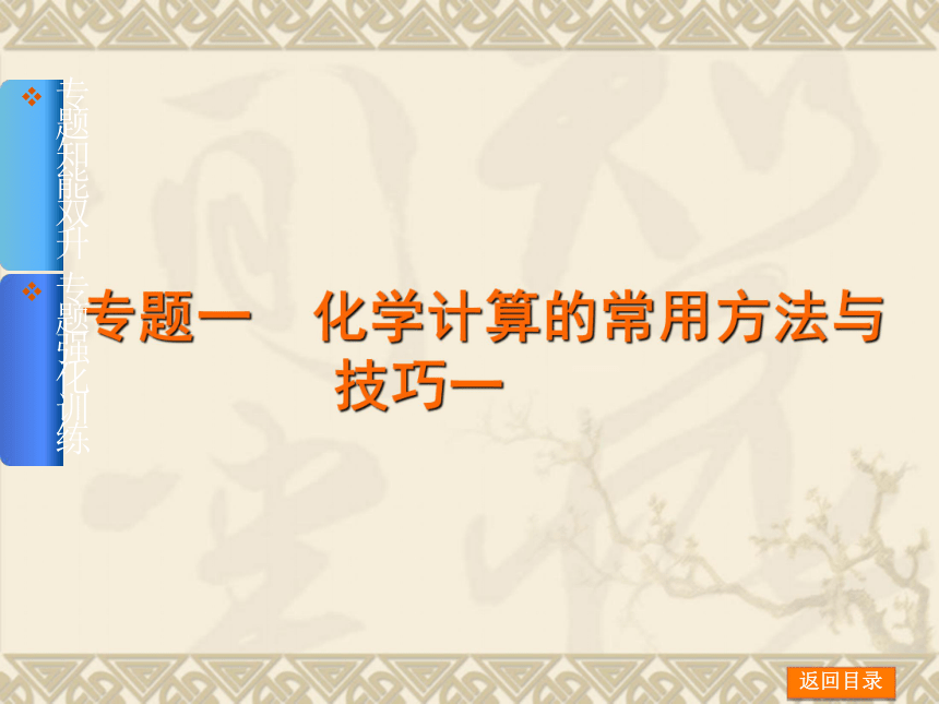 【新课标人教通用，一轮专题特练】专题一　化学计算的常用方法与技巧一