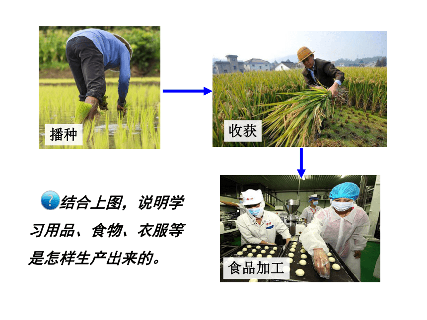 在社会中成长课件（17张ppt）