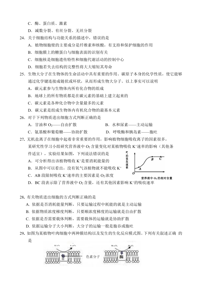 河北省石家庄市第一中学2016-2017学年高一上学期期末考试生物试题 Word版含答案