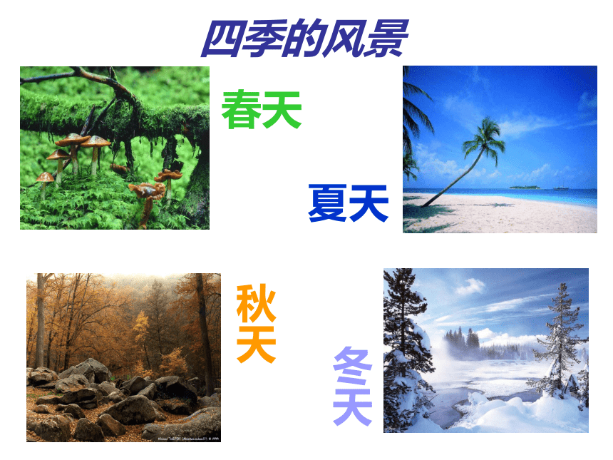 课件预览