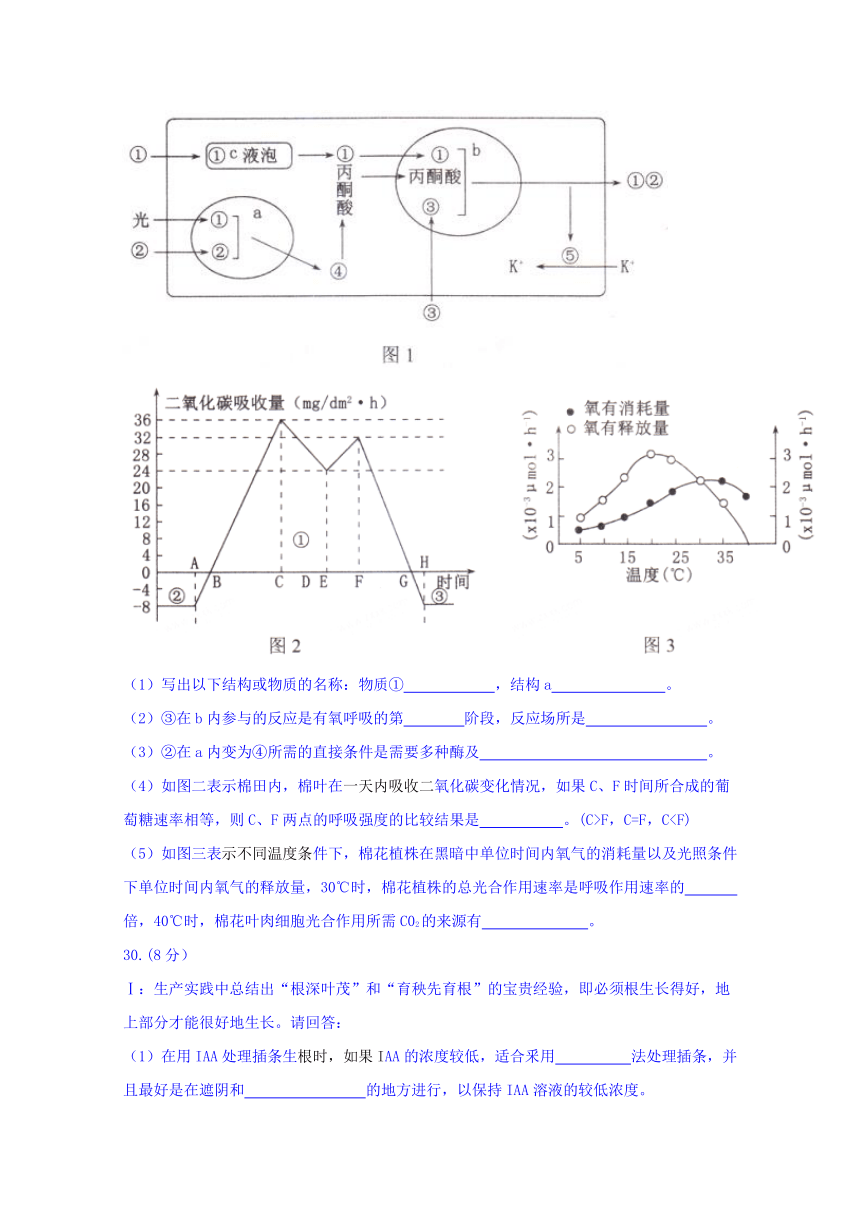 辽宁省沈阳市郊联体2018届高三第一次模拟考试理综生物试题