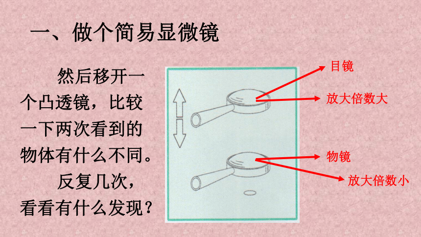 罗伯特胡克200列文虎克扫描隧道电子怎样放的更大列文虎克)发现的.