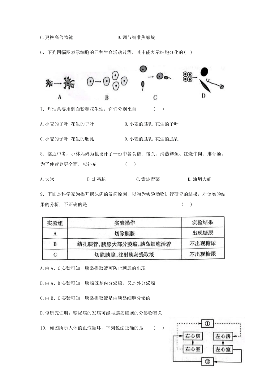 2022年河南省商丘市虞城县中考最后一次模考生物试卷b卷word版含答案