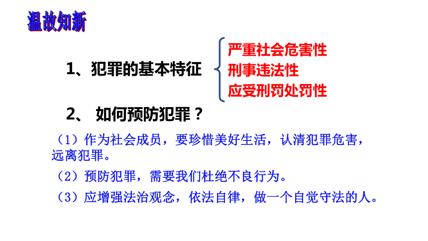 5.3善用法律 课件(共33张PPT)