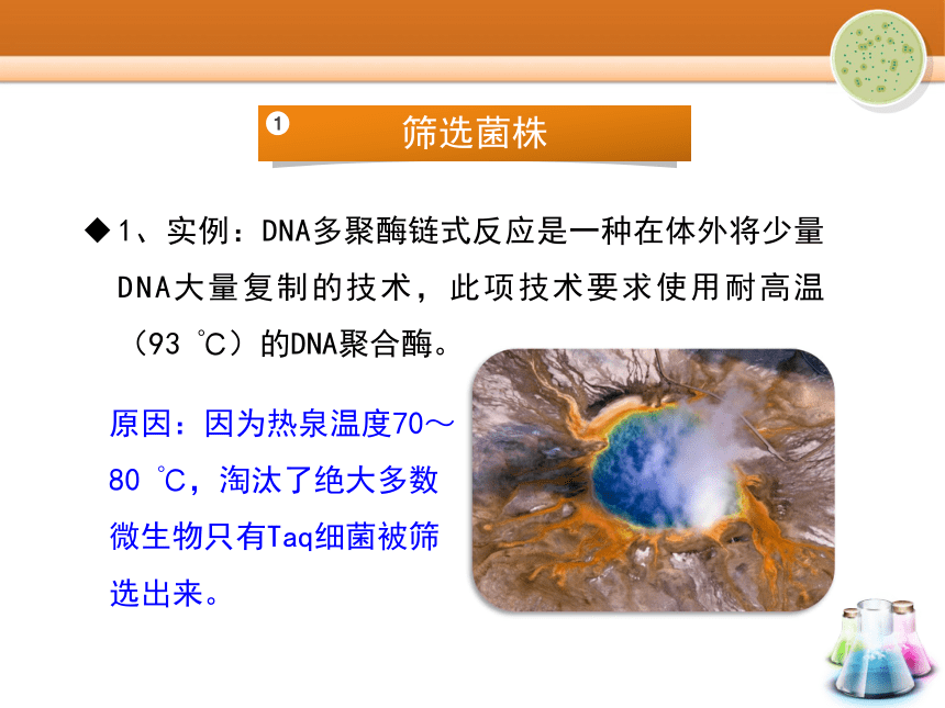 苏教版高中生物选修一1.2《分离特定的微生物并测定其数量》实验课件 （共29张PPT）