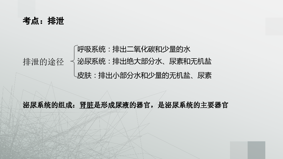 專題06生物體內廢物的排出下排洩2020年中考生物專題複習課件共55張