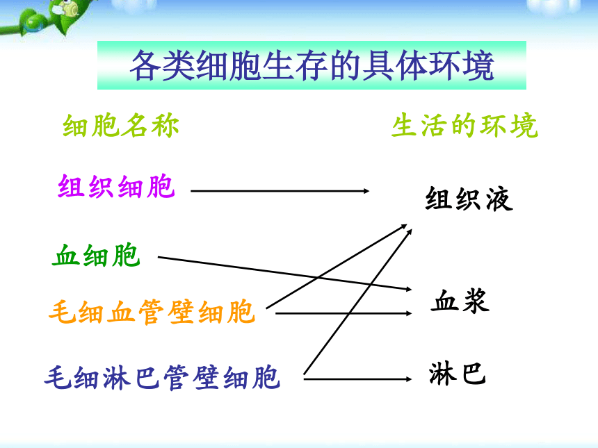 高中生物人教版必修三 第一章第一节细胞生活的环境 课件 (22)