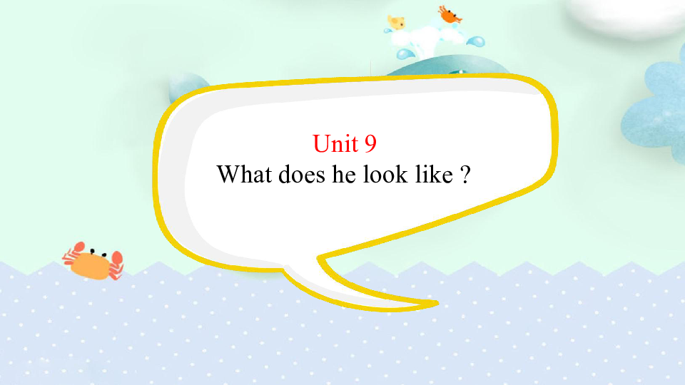Unit 9 What does he look like? 单元复习课件（共36张ppt）