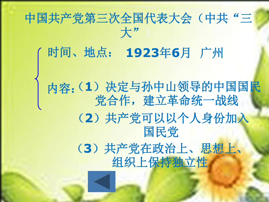 华师大版八上第9课 国民革命运动与南京国民政府的成立（27张）