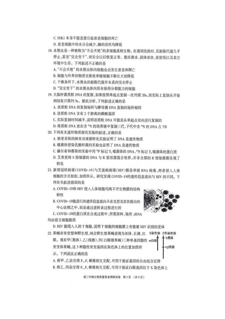 内蒙古呼和浩特市2021届高三上学期质量普查调研考试生物试卷 扫描版含答案