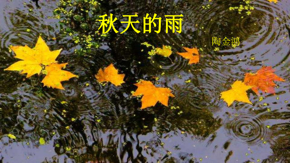 秋天的雨课件(35张ppt)