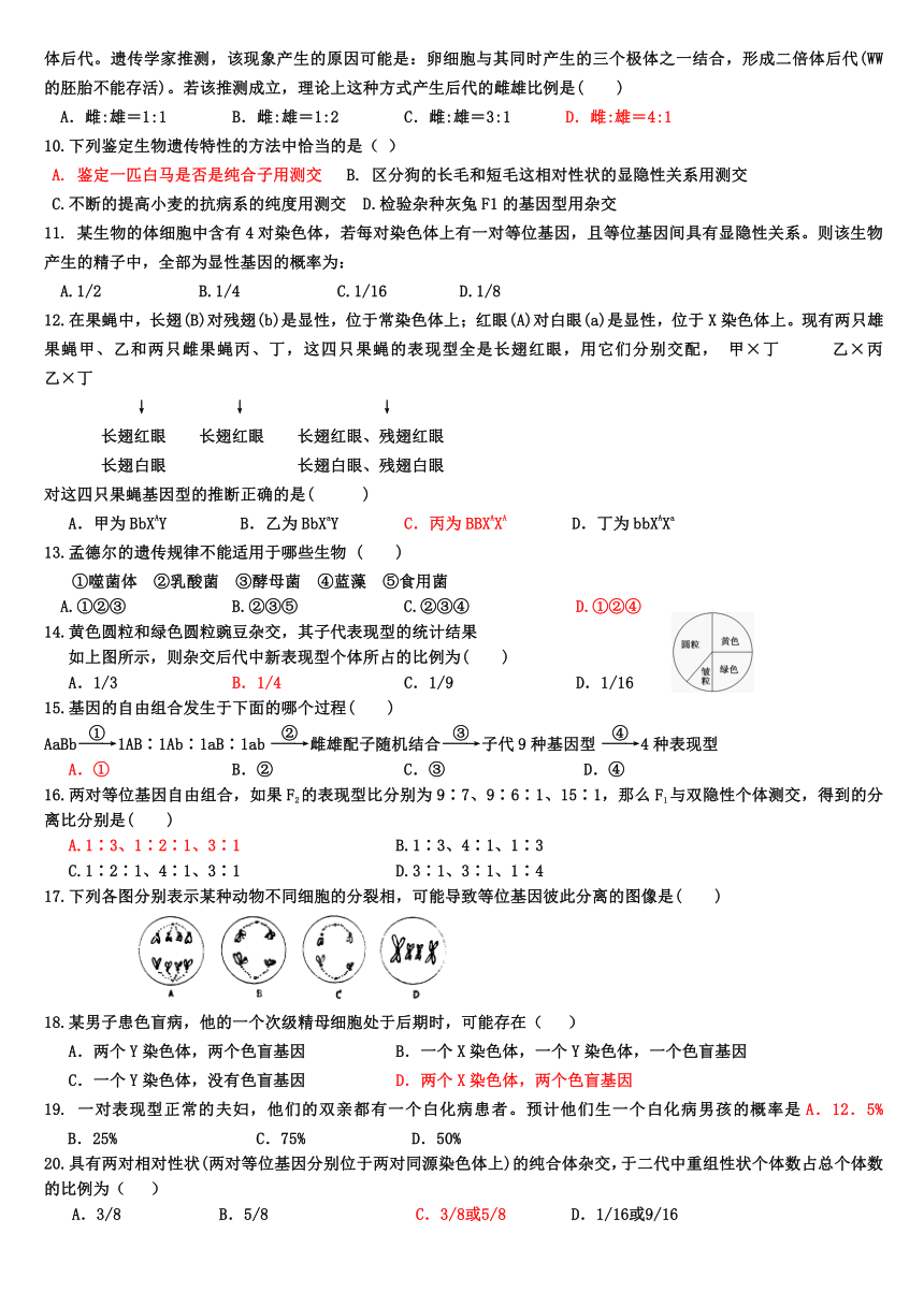 河北省武邑中学2015-2016学年高一下学期暑假作业生物试题（13）